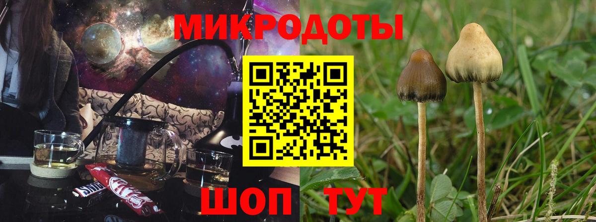 Борисоглебск  Псилоцибиновые грибы Magic Shrooms  Вход с VPN 